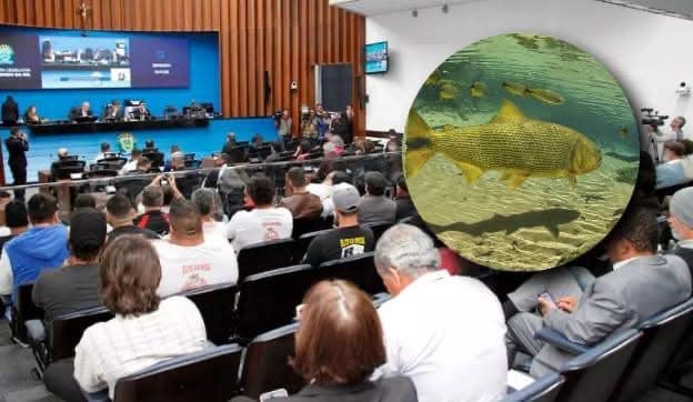Audiência pública na Alems discutirá proibição da pesca de 29 espécies de peixes por cinco anos em MS