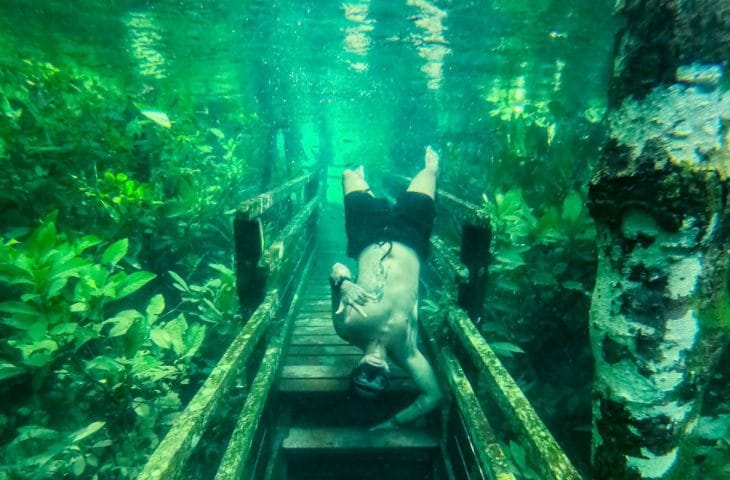 Trilha submersa: ações de conservação do solo melhoram a qualidade da água nos rios de Jardim e Bonito